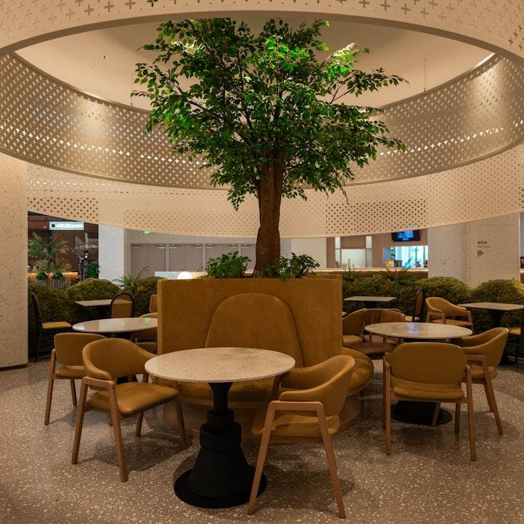 School choices for expat families in New York, United States